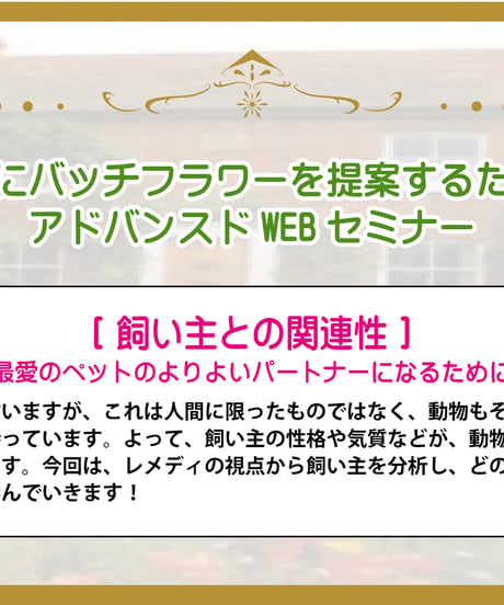 【見逃し配信】アドバンスドWEBセミナー【飼い主との関係性】