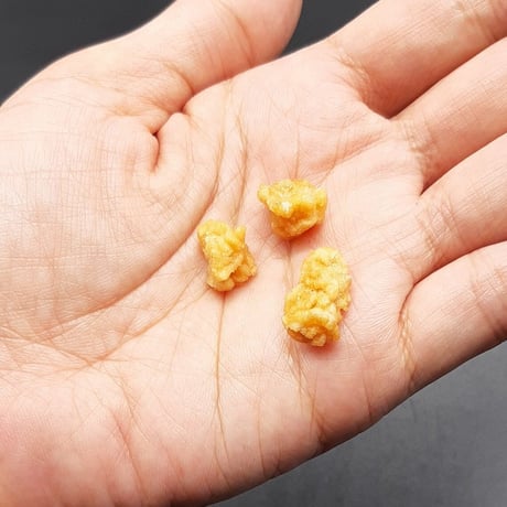 チキンビッツ 20g