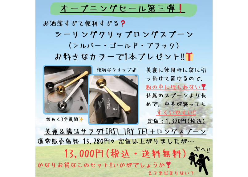 腸活サラダ2個 美痩プロテイン1個 楽天市場】美痩1袋＋菌活サラダ3袋セット[たっぷり約80杯分］高