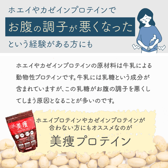 美痩プロテイン 800g(80杯分) お得な2袋SET | SeventH STORE