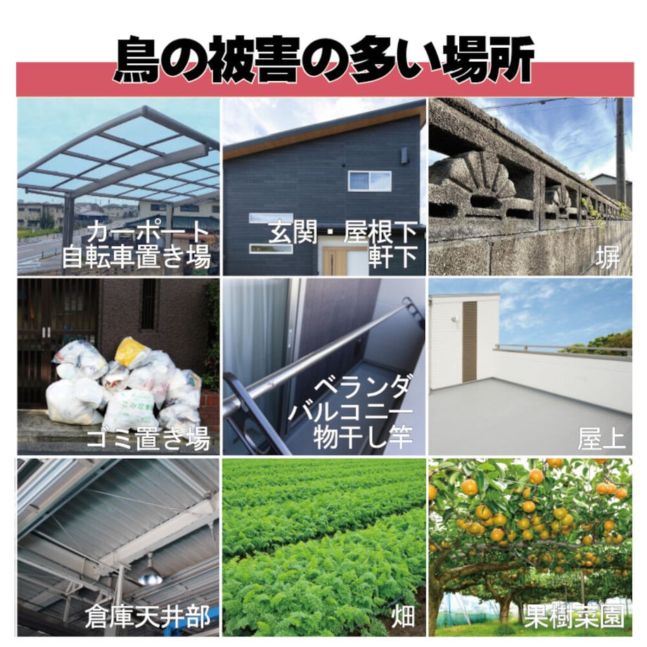 6424e255a3a20c002a05ab59