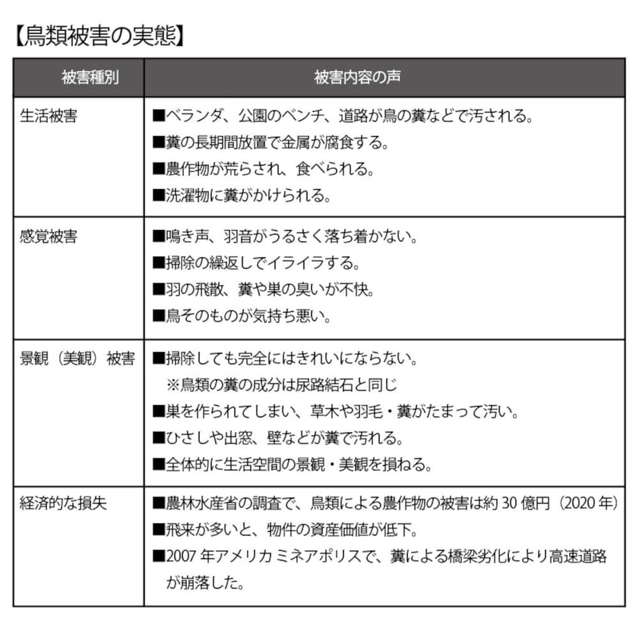 6424e255a3a20c002a05ab59