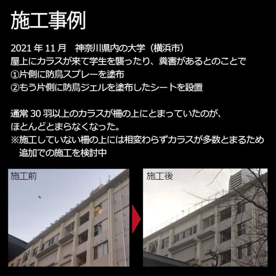 6424e255a3a20c002a05ab59