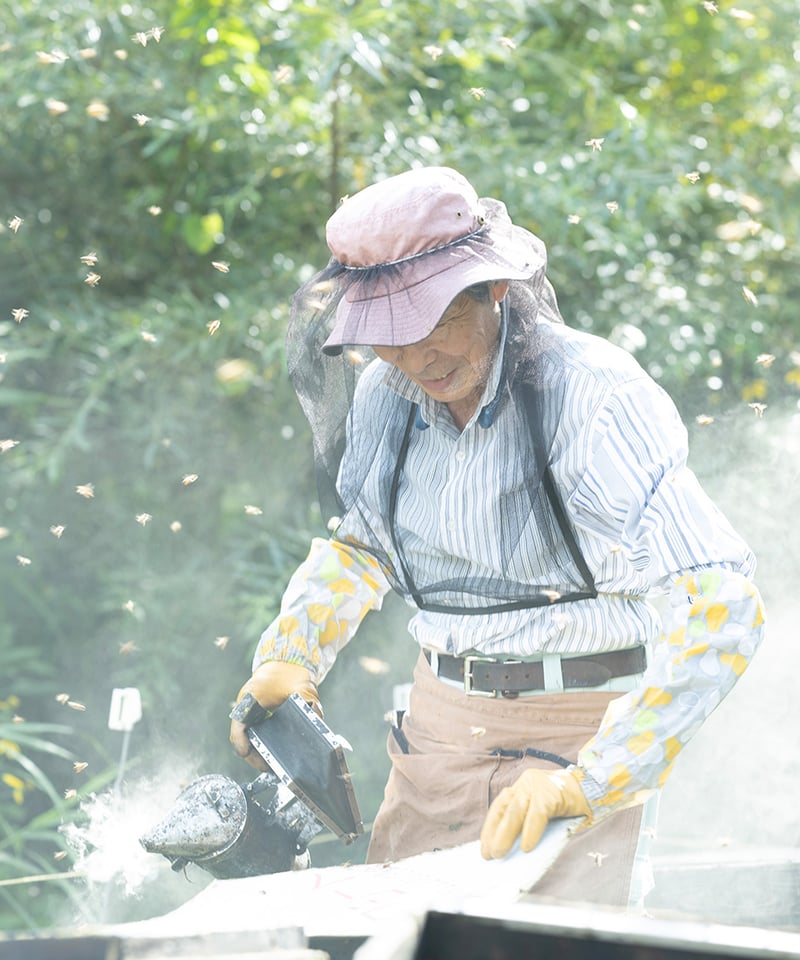 北海道産 オオハンゴンソウ蜜（50g） | 太田養蜂場ネットショップ