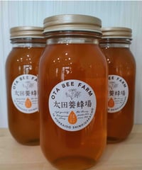 【まとめ買い】オオハンゴンソウ蜜セット