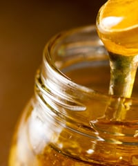 詰め替えセット300×700(オオハンゴンソウ蜜)