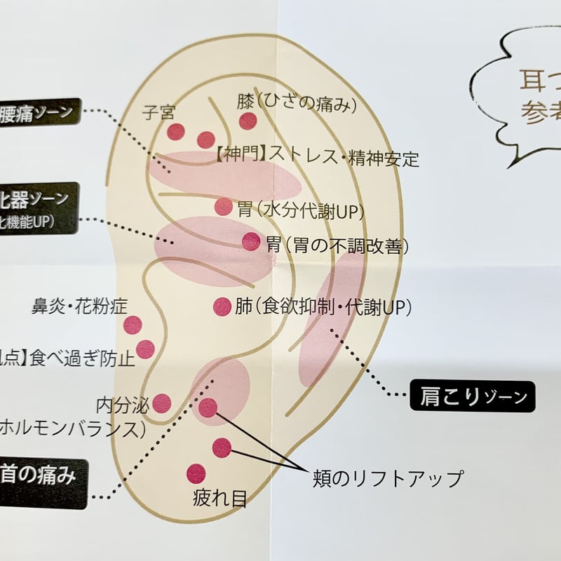 テラヘルツイヤーカフ 8mm＆6mm 高純度99.9％以上 | はっこう倶楽部の