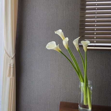 おうちのお花　「ソロ」