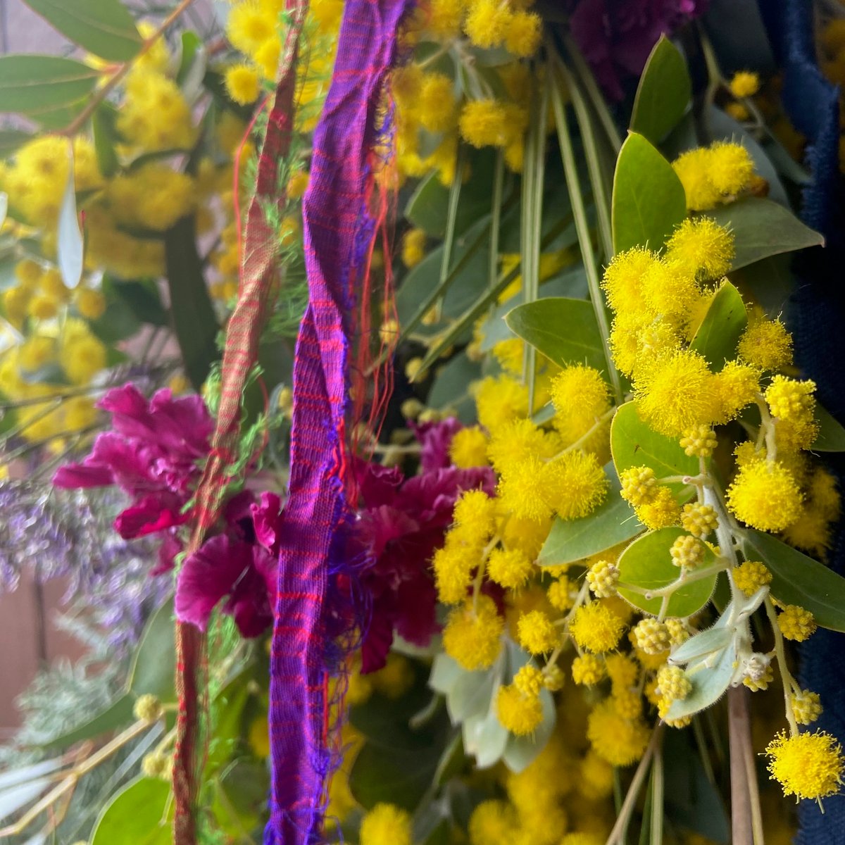 再販！ちょっと長めのミモザ・パールアカシアのスワッグ（2/21-22発送