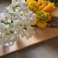 おうちのお花　「ペア」