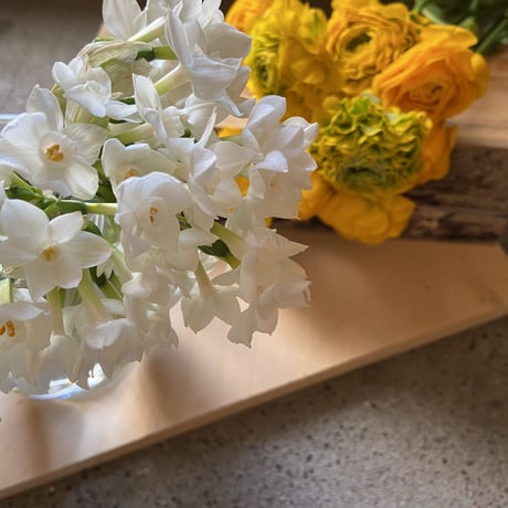 おうちのお花　「ペア」