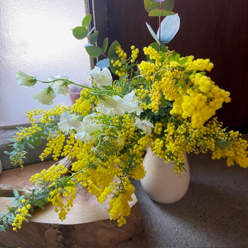 春爛漫パールアカシアとgreenのスワッグ