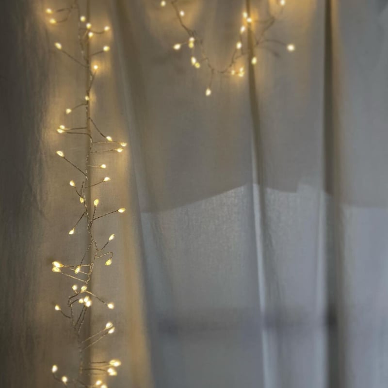 LED ワイヤーライト シルバー | マエダ花店