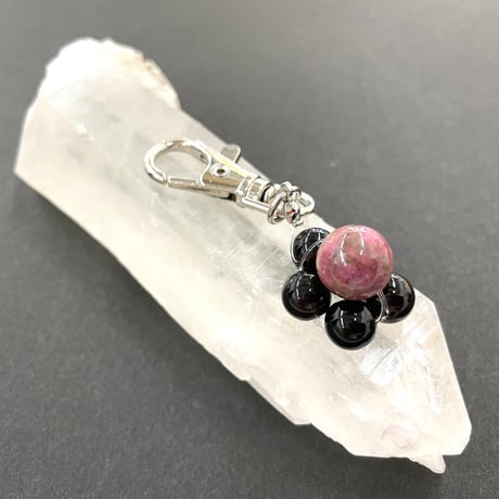 スギライト | STORES