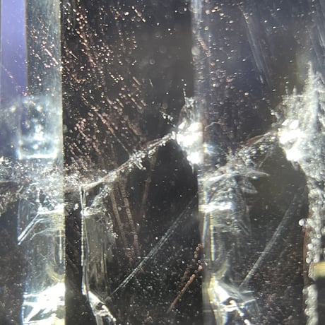 ピンクエンジェルラダー | STORES