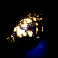 ピンクオパール龍亀（ロングイ）H004 | KAIUN REIJYUDO【開運 霊獣堂】