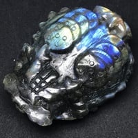 高品質ラブラドライト龍亀（ロングイ） | KAIUN REIJYUDO【開運 霊獣堂】