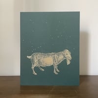 Dylan Hausthor & Paul Guilmoth / Sleep Creek（※レターパックライト発送）
