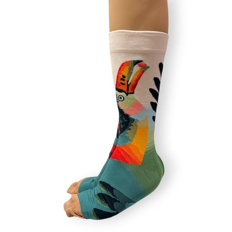 Natural Toucan Socks 25cm～27cm/Bonne Maison