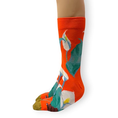 Vermilion Aromas Socks  25cm～27cm/Bonne Maison