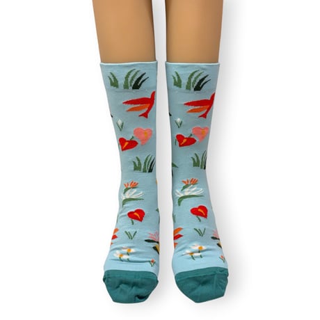Aqua Seedling Socks /Bonne Maison