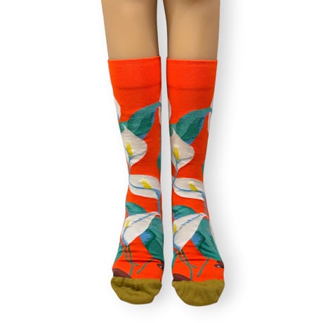 Vermilion Aromas Socks  25cm～27cm/Bonne Maison