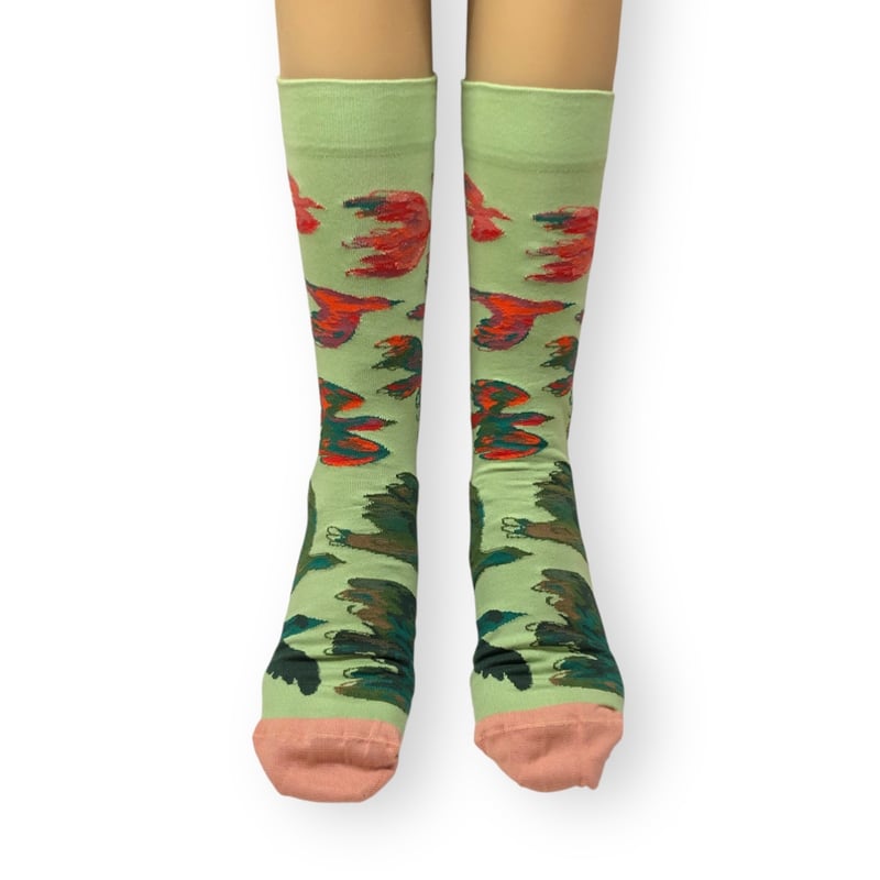 Lime bird25cm～27cm/Bonne Maison | クツシタトサケ bobo