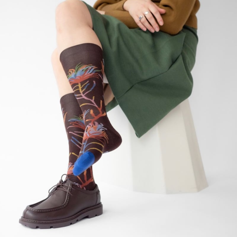 クツシタトサケ bobo