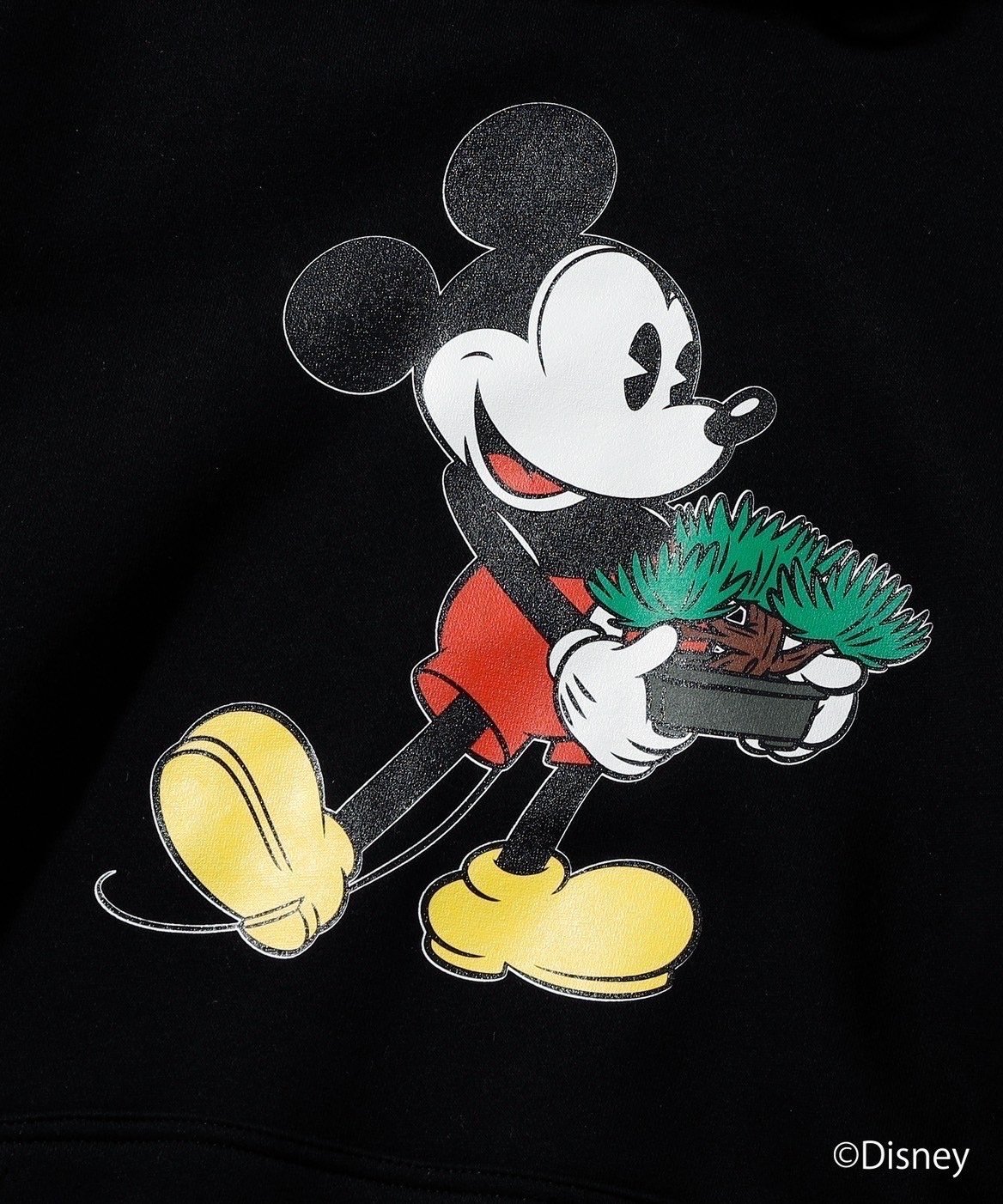 fit=scale-down,w=1200