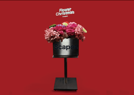 Scapes Preserved Flower Box（店舗受取り） | Scapes