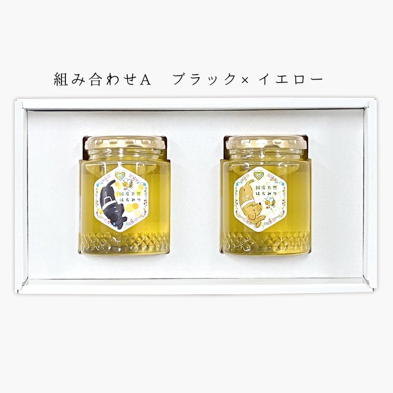 盲導犬応援ラベル】国産純粋はちみつ 300g×2個（贈答用箱入り