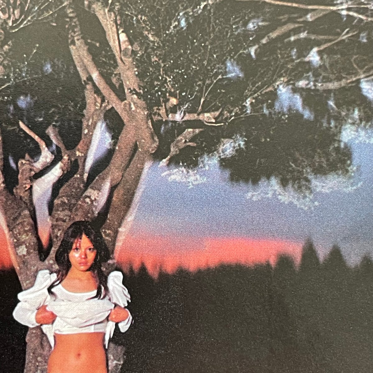 カメラ毎日 1983年4月号 | tone books