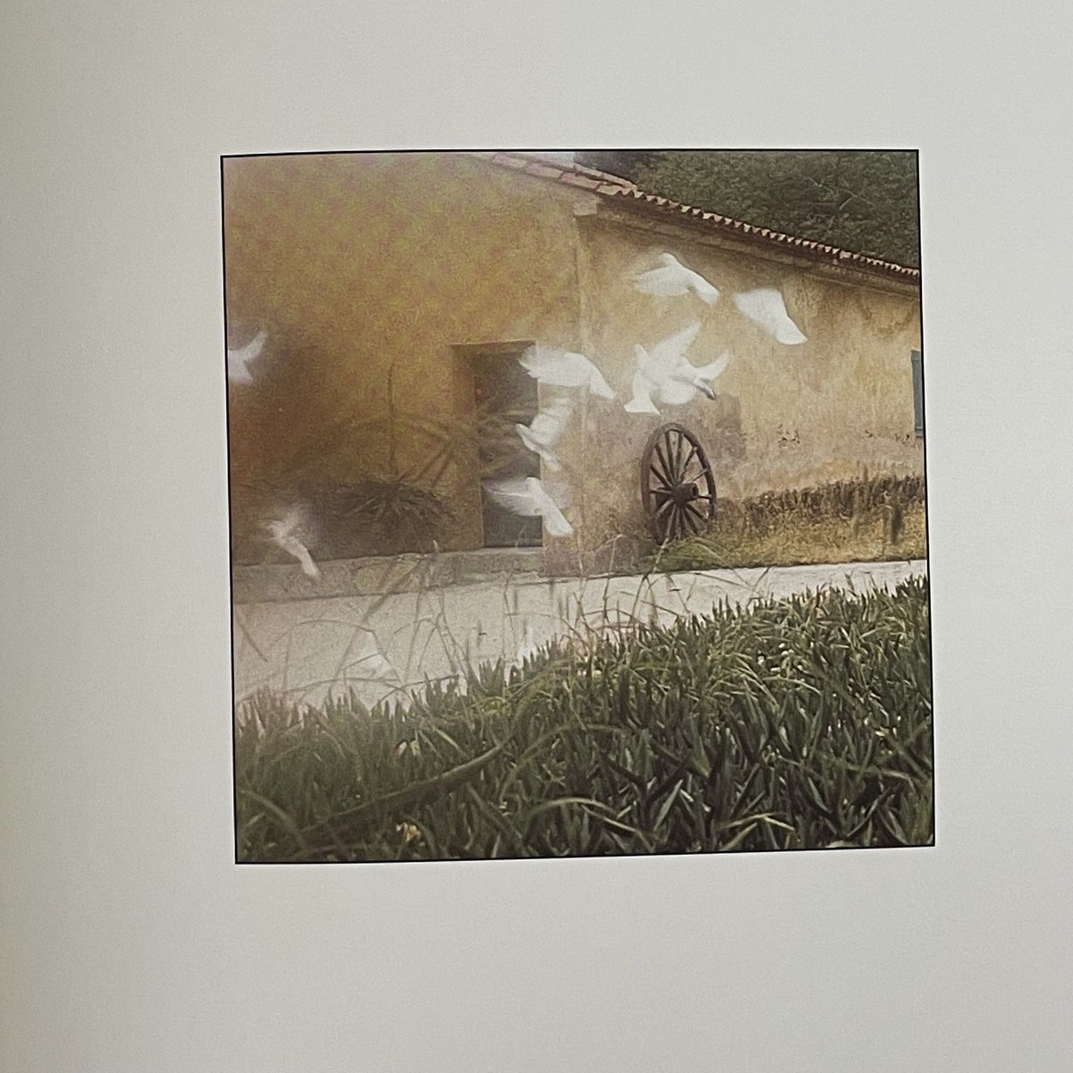 デビッドハミルトンThe Best Of DAVID HAMILTON The Best of David Hamilton: Hamilton, David: 9780002160780