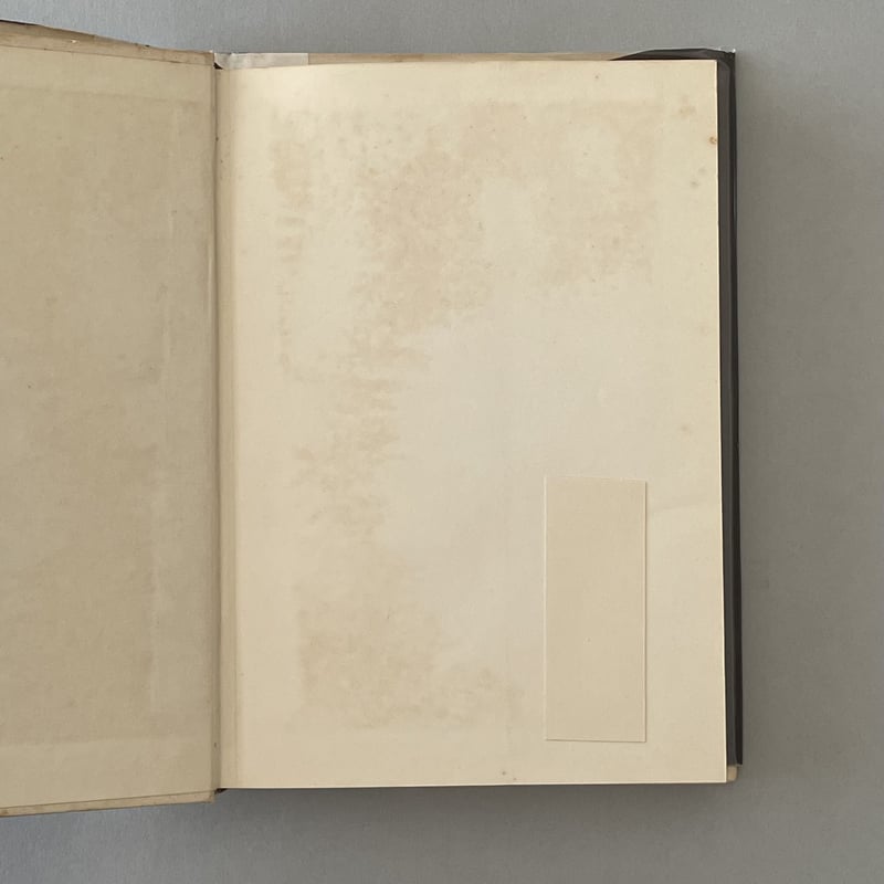 珈琲と私 | tone books