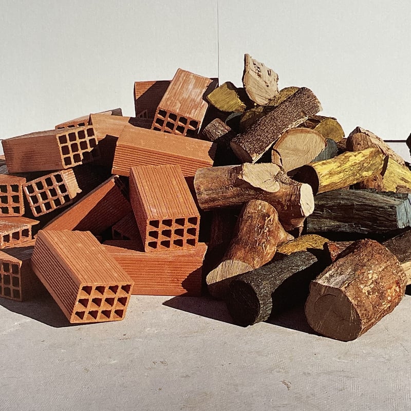 シュポール/シュルファス展 | tone books