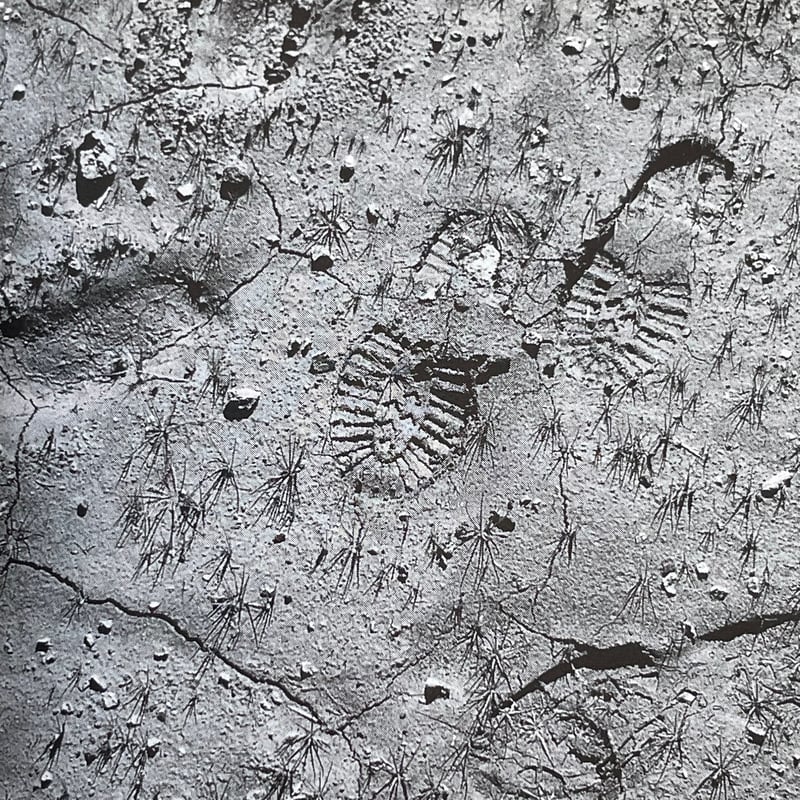 【中古】 Ｄｉｓｔａｎｃｅ 映画が作られるまで/スイッチ・パブリッシング/是枝裕和 DISTANCE -映画が作られるまで-』｜感想・レビュー - 読書メーター