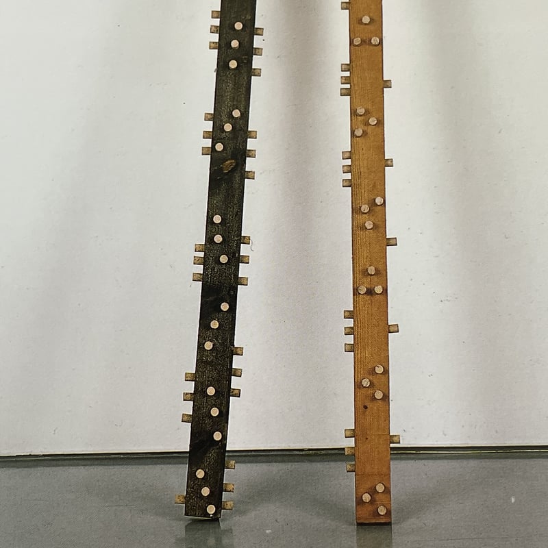 シュポール/シュルファス展 | tone books