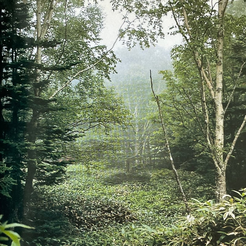 【中古】 Ｄｉｓｔａｎｃｅ 映画が作られるまで/スイッチ・パブリッシング/是枝裕和 DISTANCE -映画が作られるまで-』｜感想・レビュー - 読書メーター