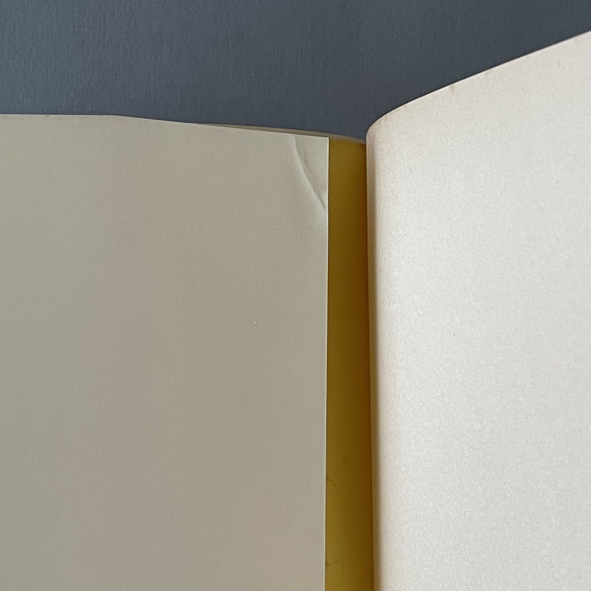 ぼくらの国なんだぜ | tone books