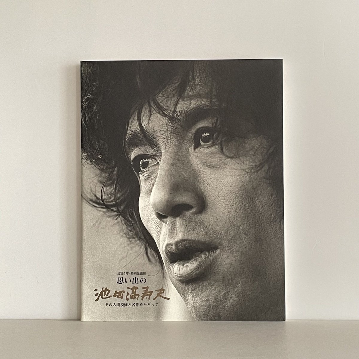 池田満寿夫、女の肖像、希少画集画、高級額装、状態良好