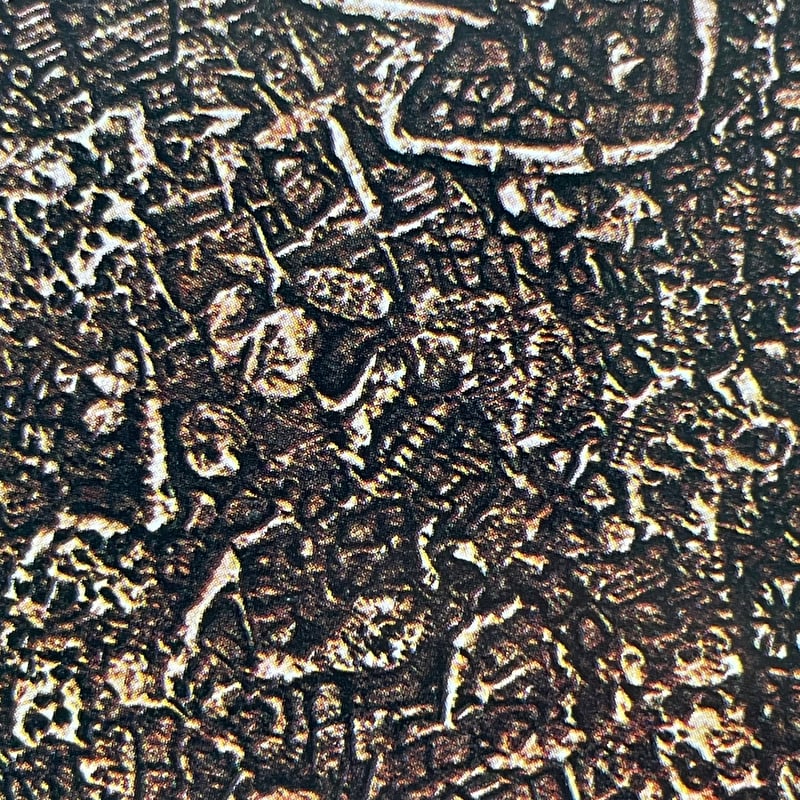 カラーブックス 83 抽象絵画 鑑賞の手引き | tone books