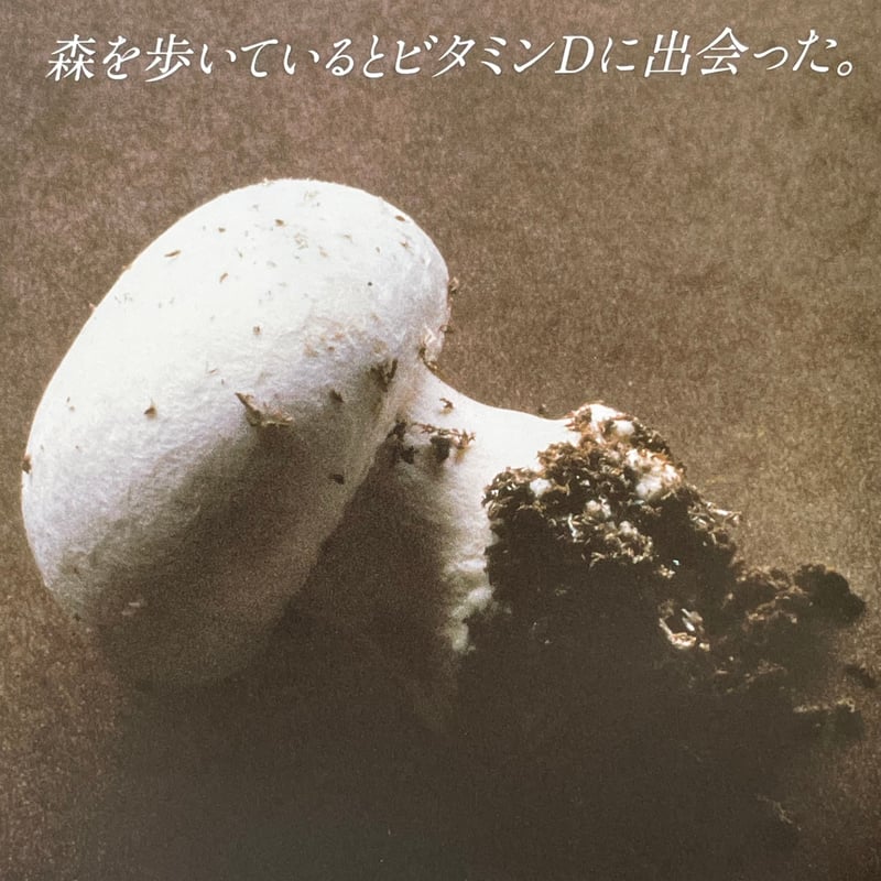 GAN HOSOYA ART DIRECTION イメージの翼 2　細谷巖 イメージの翼2 GAN HOSOYA ART DIRECTION 細谷巖アートディレクション