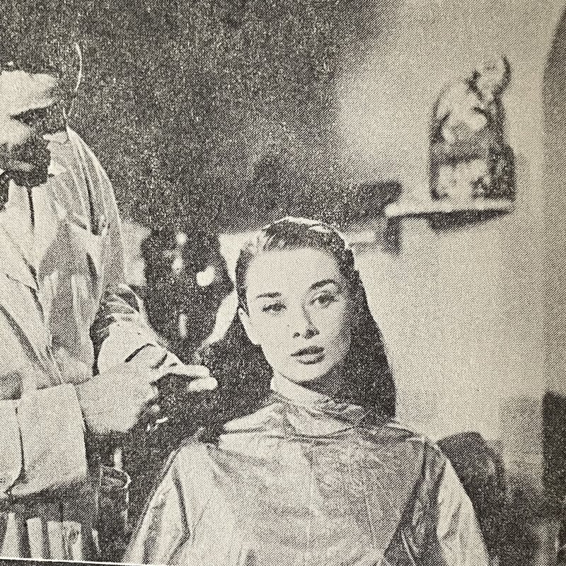 映画の学校 | tone books