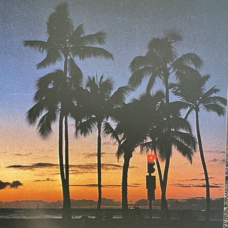 ISLANDS 浅井慎平写真集 | tone books