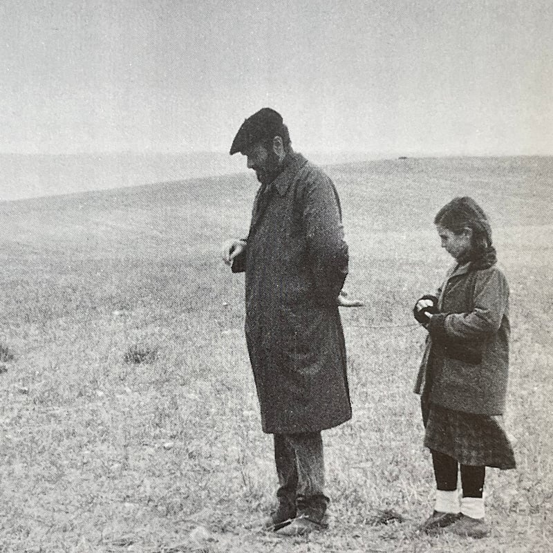 季刊 映画 リュミエール 創刊第1号 | tone books