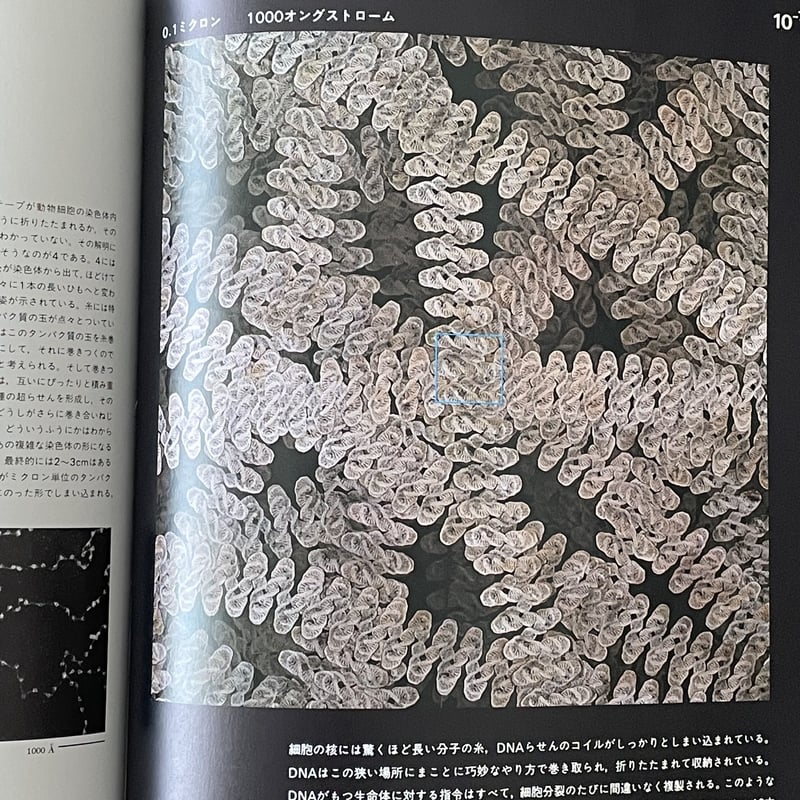 希少本｜Powers of Ten 宇宙 人間 素粒子をめぐる大きさの旅 Powers of ten : 宇宙・人間・素粒子をめぐる大きさの旅