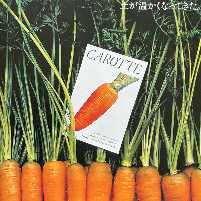 イメージの翼2 GAN HOSYOYA ART DIRECTION | tone books