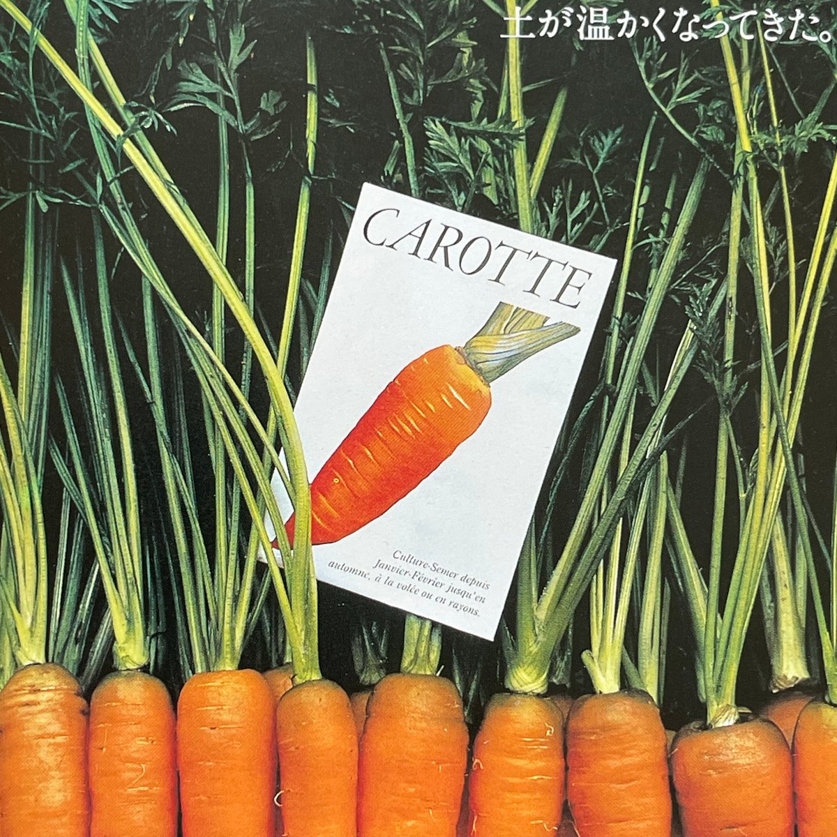 イメージの翼2 GAN HOSYOYA ART DIRECTION | tone books