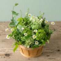 Jardin Ciel ジャルダン・シエル [ 天空の庭 ]　🐾チャリティー商品