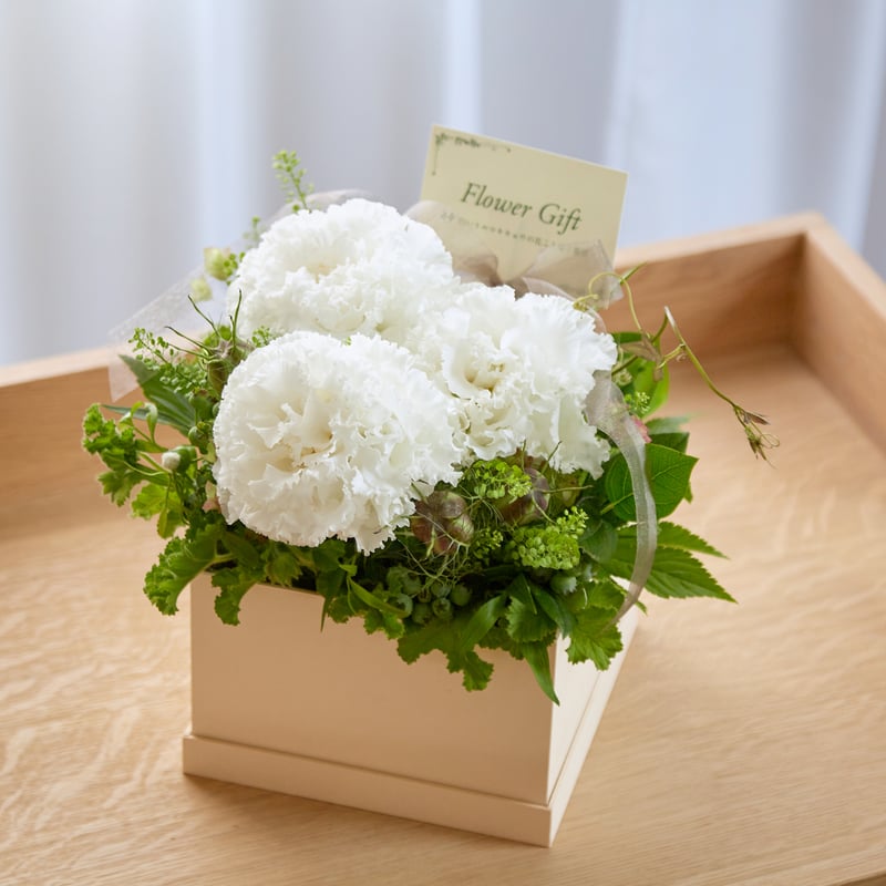 花 大切な人へのプレゼント「トルコキキョウ・・・家族へ」